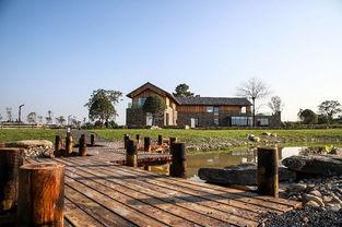 卓尔最新爆料桃花驿,桃花驿神秘面纱背后的传奇故事  第2张